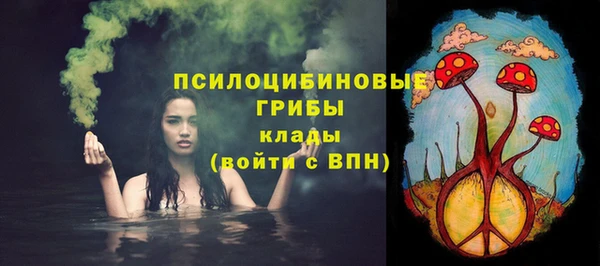 твердый Арсеньев