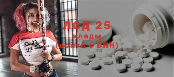 ешки Снежинск